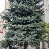 Крым, фото отдыхающего в сентябре