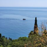 Гостевой дом Forest, фото гостя