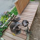 Гостиница Адмиралтейская, фото гостя