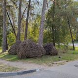 Отель Дубрава, фото гостя