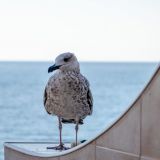 Апартаменты В ПК Утёс, фото гостя