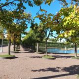 Ленинградская область, фото отдыхающего в сентябре