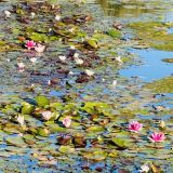 Казань, фото отдыхающего в сентябре