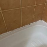 Отель Медведь Resort, фото гостя