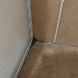 Отель Медведь Resort, фото гостя