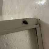 Отель Медведь Resort, фото гостя