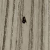 Хостел Три Вокзала, фото гостя