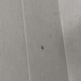 Апарт-отель Гости Любят на Сенной, фото гостя