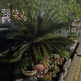 Гостевой дом Аэростар, фото гостя