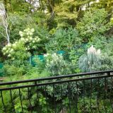 Гостевой дом SL Рио, фото гостя