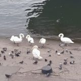Гостиница Золотой якорь, фото гостя