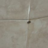 Гостиница Линия Спектр, фото гостя