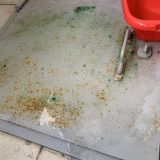 Апартаменты Курортный проспект 75д, фото гостя