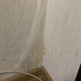 Апартаменты Курортный проспект 75д, фото гостя