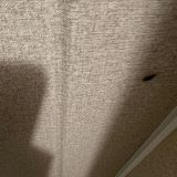 Гостевой дом Белое золото, фото гостя