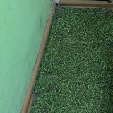 Хостел HotelHot Бауманская, фото гостя