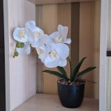 Отель Державинская, фото гостя