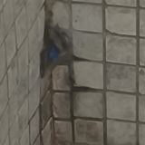 Отель Ялта Интурист, фото гостя