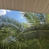 Гостевой дом Palma Раrk, фото гостя