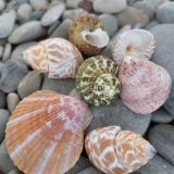 Лазаревское, фото отдыхающего в сентябре