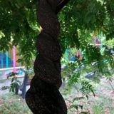 Лазаревское, фото отдыхающего в сентябре