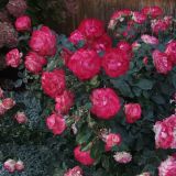 Золотое кольцо, фото отдыхающего в сентябре