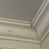 Бухта Инал, фото отдыхающего в сентябре