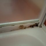 Гостиница Керчь, фото гостя