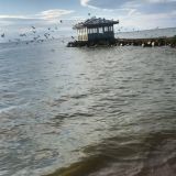 Гостевой дом Устье, фото гостя