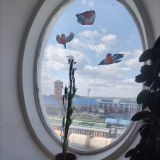 Smart Hotel KDO Оренбург, фото гостя