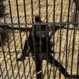 Отель Ялта Интурист, фото гостя