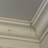 Ателика Гранд Оазис, фото гостя