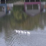 Гостиница Усадьба Ромашково, фото гостя