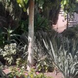 Мини-отель Пансион Кафа, фото гостя