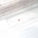 Отель Good Point, фото гостя