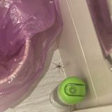 Апартаменты на Днепропетровской, фото гостя