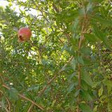 Южный берег Крыма, фото отдыхающего в сентябре