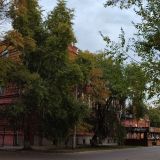 Благовещенск (Амурская область), фото отдыхающего в сентябре