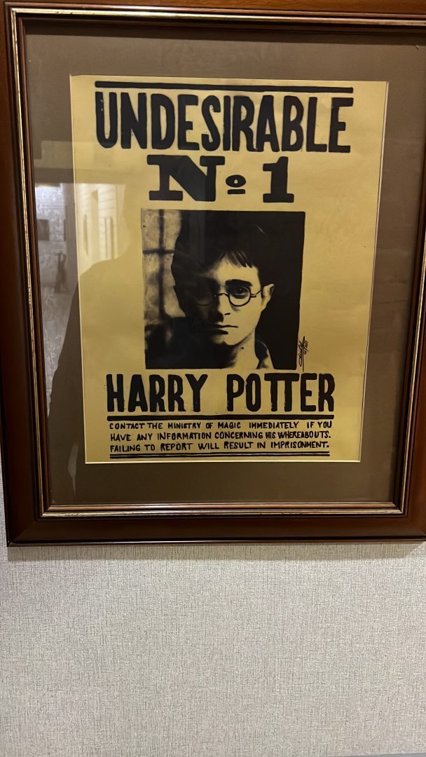 Платформа 9 3/4, фото гостя