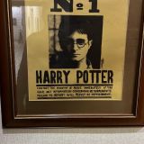 Гостевой дом Платформа 9 3/4, фото гостя