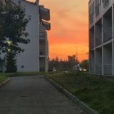 Загородный отель Тропикана Парк, фото гостя