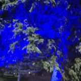 Загородный отель Тропикана Парк, фото гостя