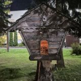 Загородный отель Тропикана Парк, фото гостя