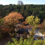 Гостевой дом Старый замок, фото гостя