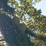 Отель Ялта Интурист, фото гостя