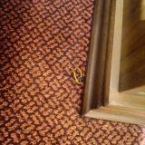 Гостиница Спорт, фото гостя