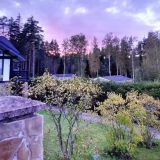 База отдыха Давинчи Парк, фото гостя