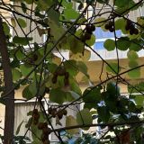 Гостевой дом Анна, фото гостя