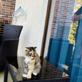 Отель Monarch, фото гостя