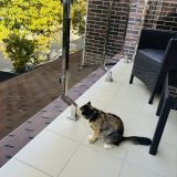 Отель Monarch, фото гостя